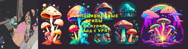 мдпв Белокуриха