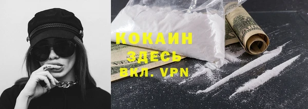 мдпв Белокуриха