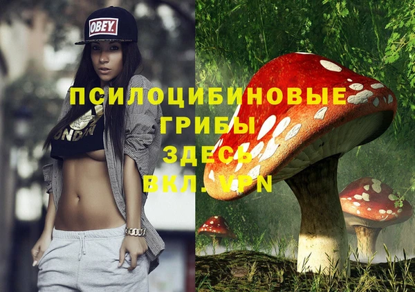 дурь Беломорск