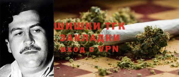 мдпв Белокуриха