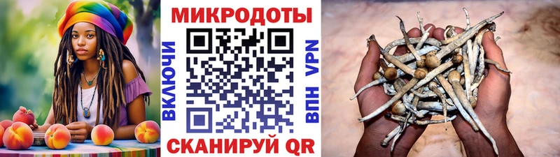Галлюциногенные грибы Magic Shrooms  Светогорск 